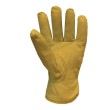 Predator Gold Lined Drivers Gloves