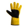 Predator Signature Gold Mig Gauntlet - Short